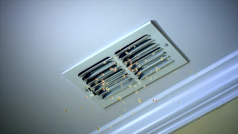 Best Affordable Air Duct Cleaning  in Harkers Island, NC