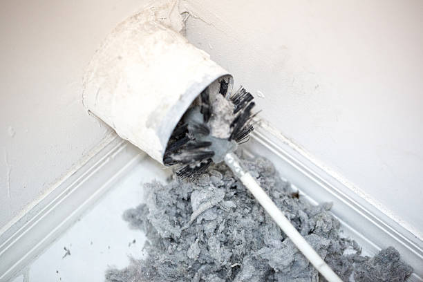 Best Local Air Duct Cleaning Services  in Harkers Island, NC